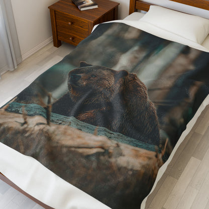 Cozy Bear Velveteen Plush Blanket