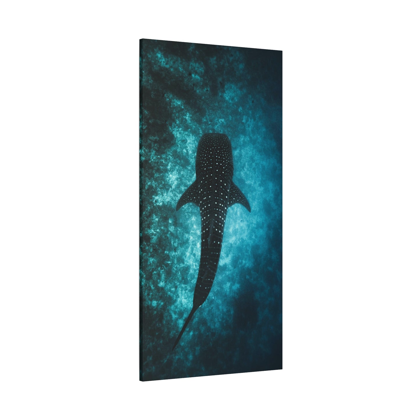 Whale Shark Canvas Wall Art