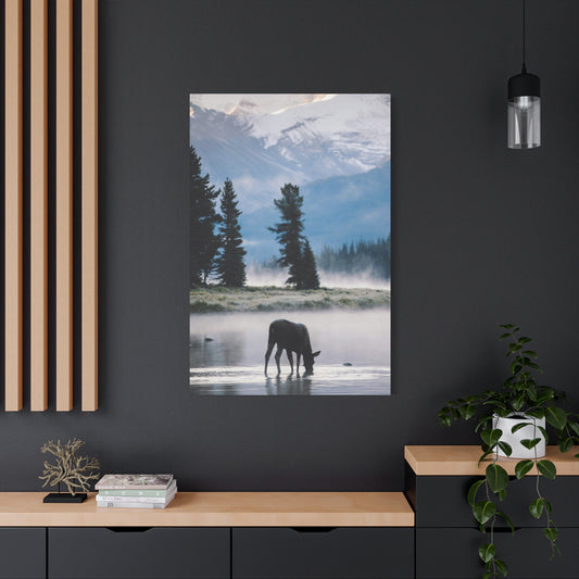 Moose at Dawn Stretched Canvas Wall Art