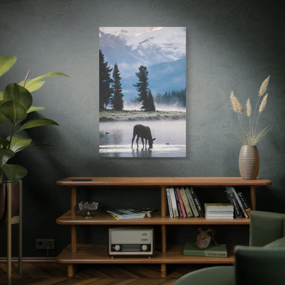 Moose at Dawn Stretched Canvas Wall Art