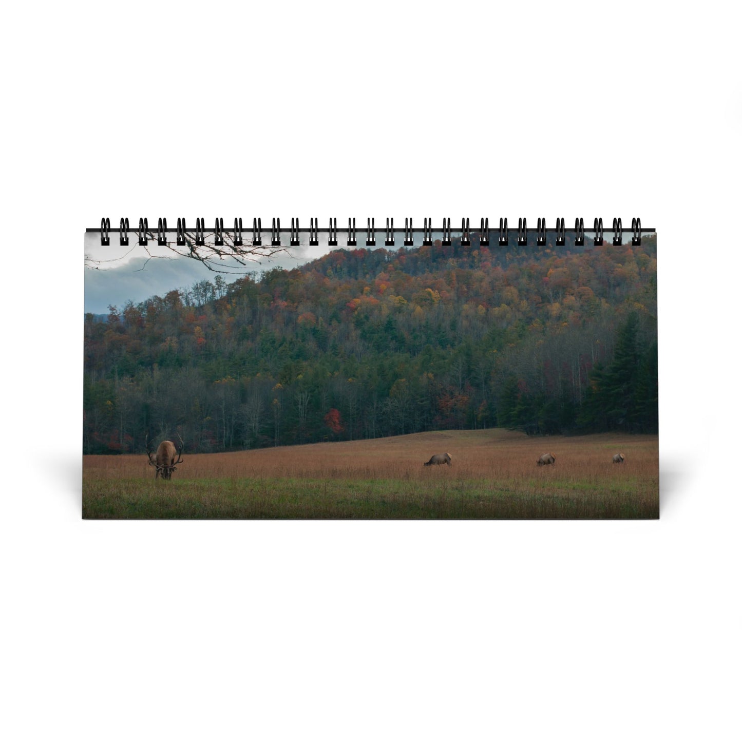 Outdoor Mercantile 2026 Desktop Calendar