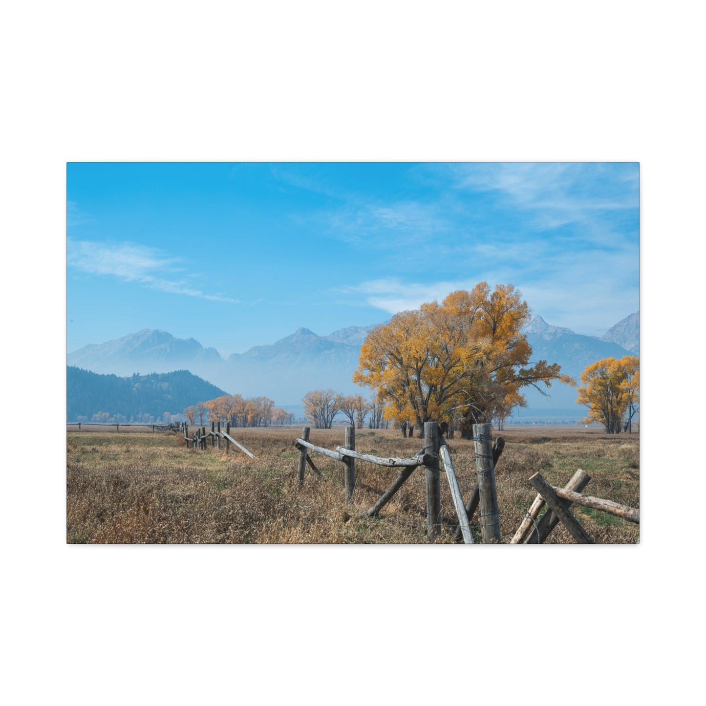 Meadow Mountain Canvas Wall Art