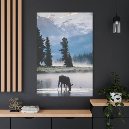 Moose at Dawn Stretched Canvas Wall Art