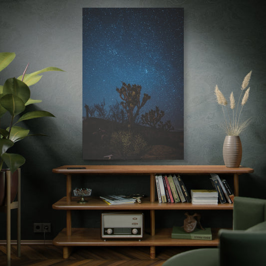 Desert Night Sky Canvas Wall Art