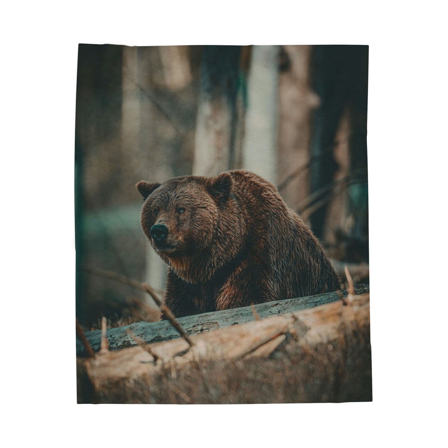 Cozy Bear Velveteen Plush Blanket