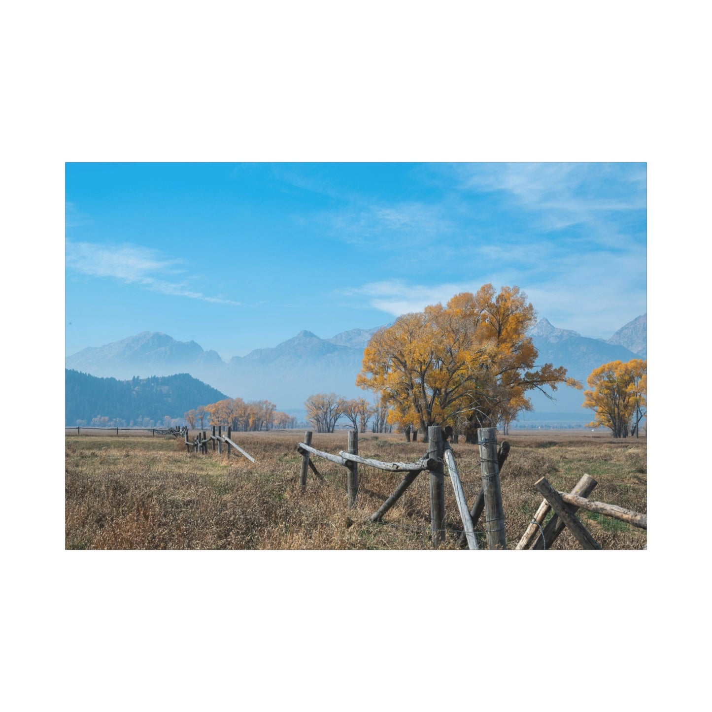 Meadow Mountain Canvas Wall Art