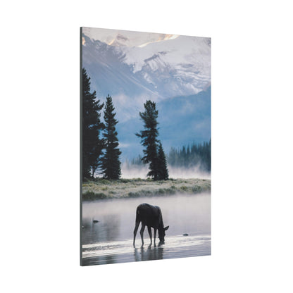 Moose at Dawn Stretched Canvas Wall Art