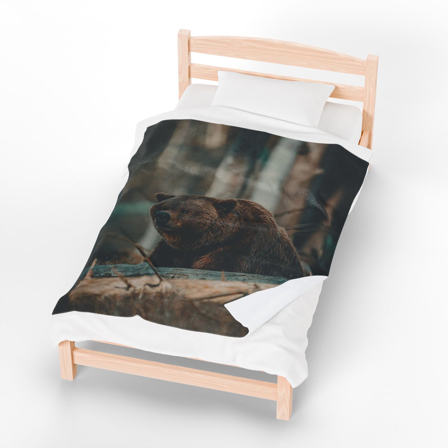 Cozy Bear Velveteen Plush Blanket