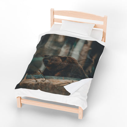 Cozy Bear Velveteen Plush Blanket